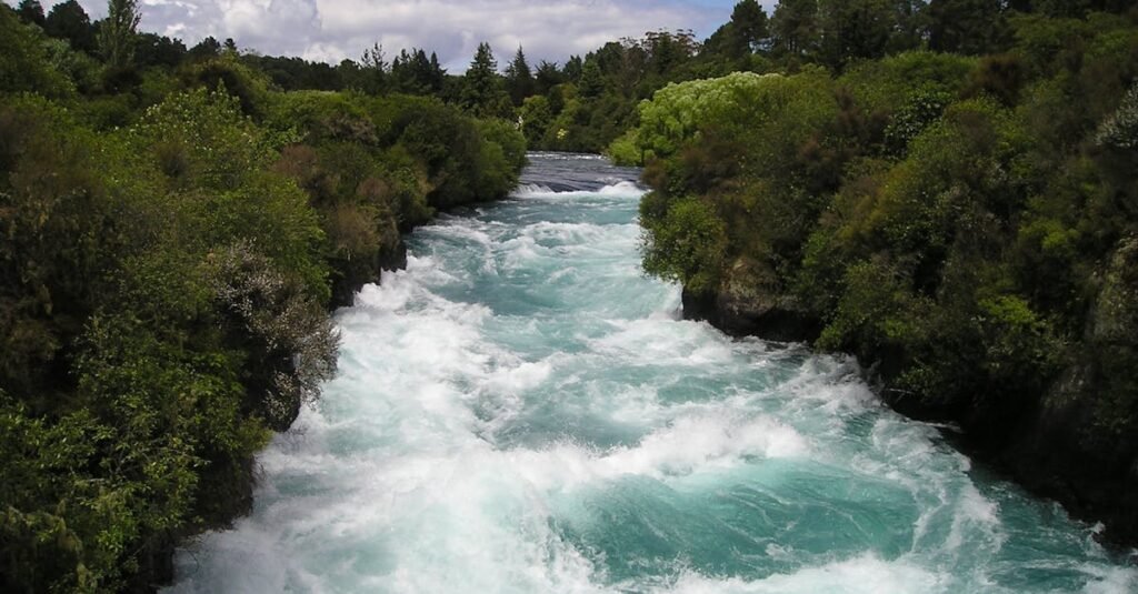 Vibrant and powerful river rapids flowing through lush green forest in a natural landscape.