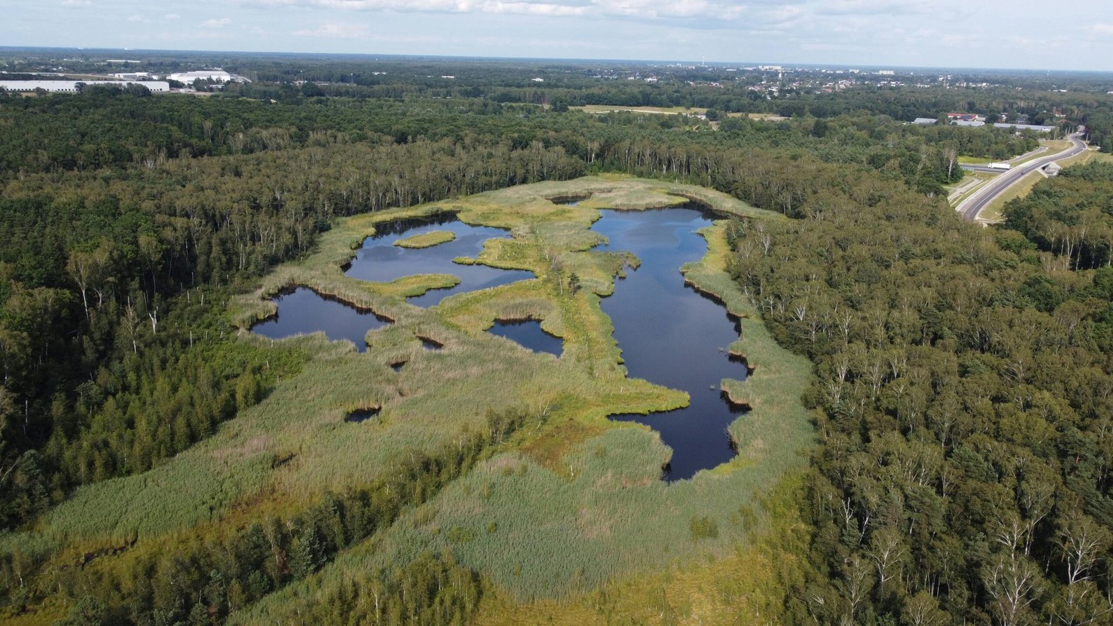 A stunning aerial view of wetlands and forests near Marki, Poland, showcasing natural beauty and landscapes.