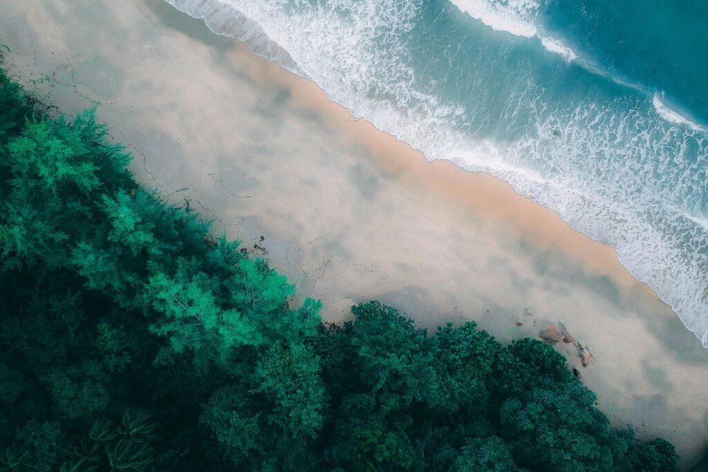 Aerial shot of a serene beach with waves and lush greenery, showcasing natural beauty.
