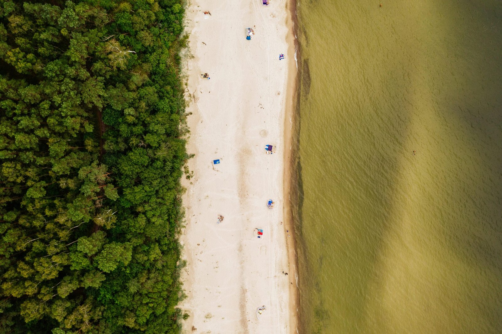 Drone shot capturing the serene beach and lush forest of Łukęcin, Poland. Perfect summer getaway.
